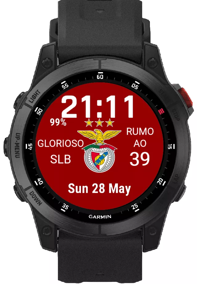 SLBENFICA