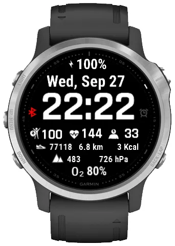 simple and informative garmin 6s